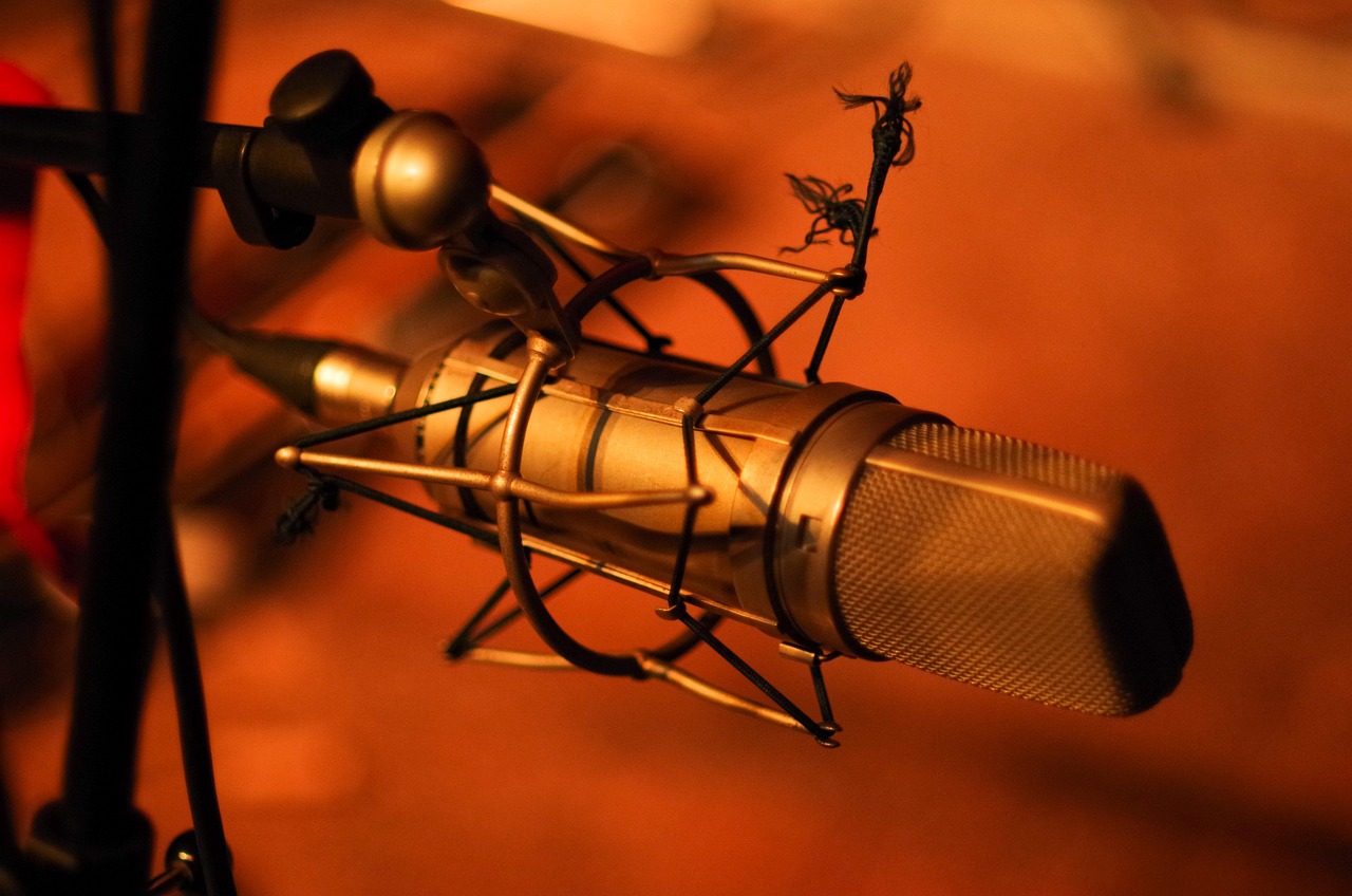 mic, music, sound, audio, microphone, vocal, live, voice, equipment, technology, broadcast, stage, recording, interview, digital sound, studio, microphone, interview, interview, interview, interview, interview